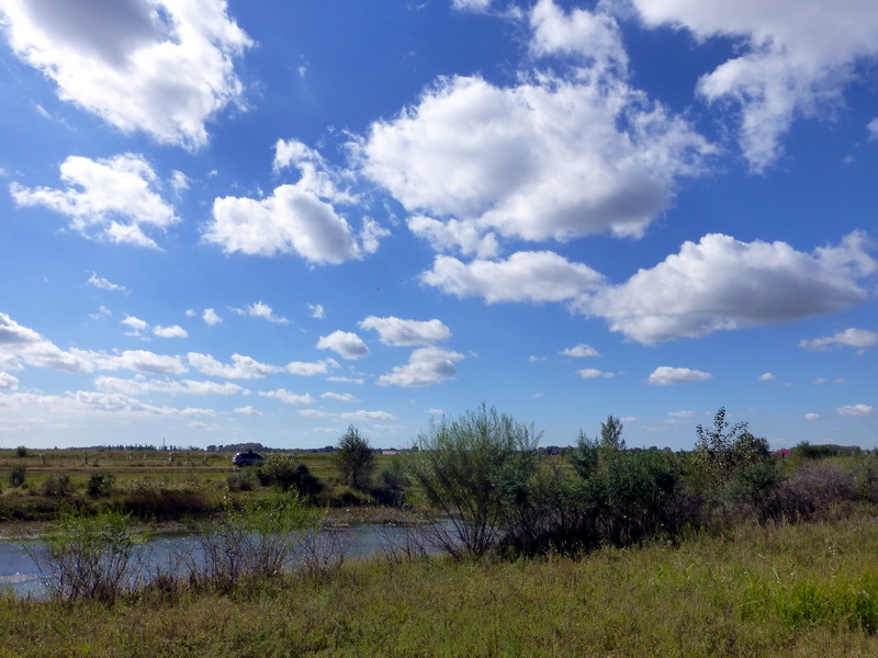 p1120636.jpg