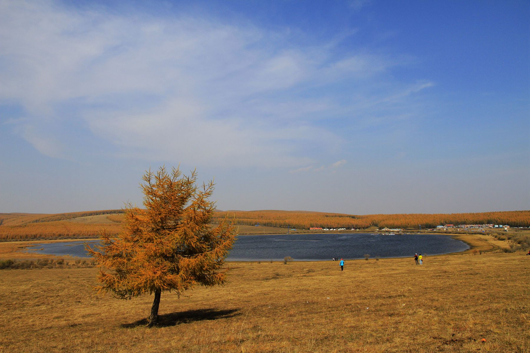 _mg_6837_.jpg