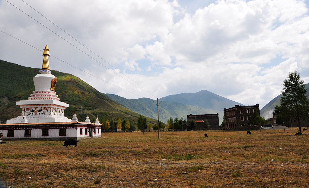 dsc_0686a.jpg