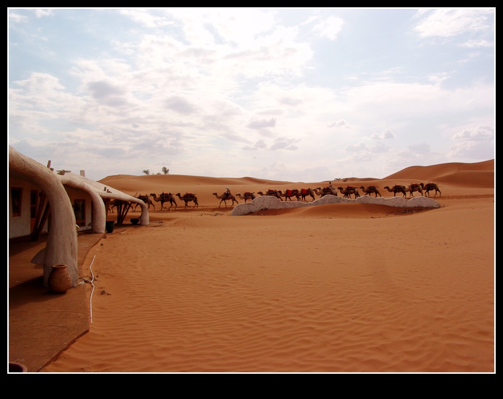 dsc09670_conew1.jpg