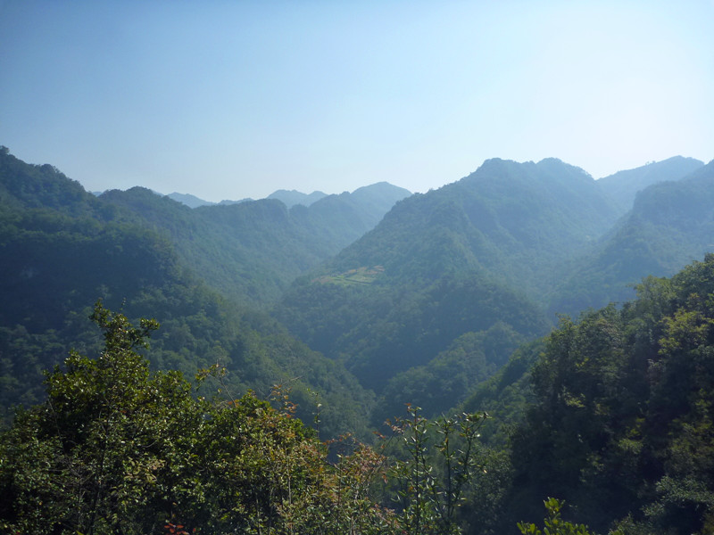 p1160843_副本.jpg