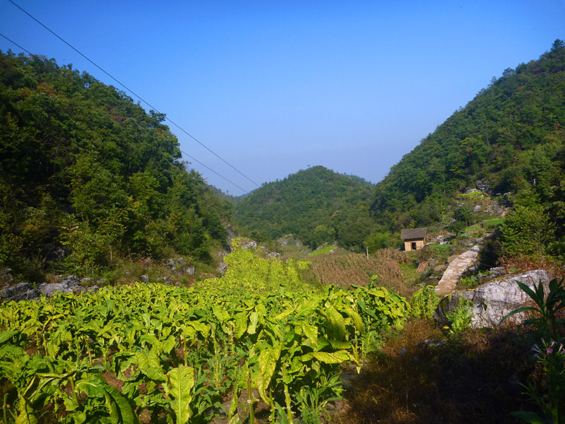 p1160850_副本.jpg