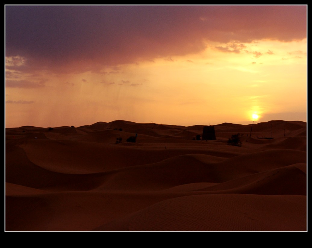 dsc09696_conew1.jpg