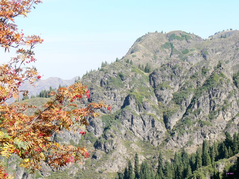 p1280167.jpg