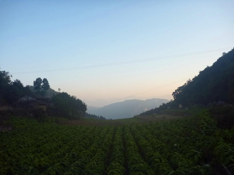 p1160738_副本.jpg