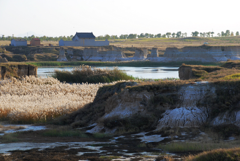 dsc_0813.jpg