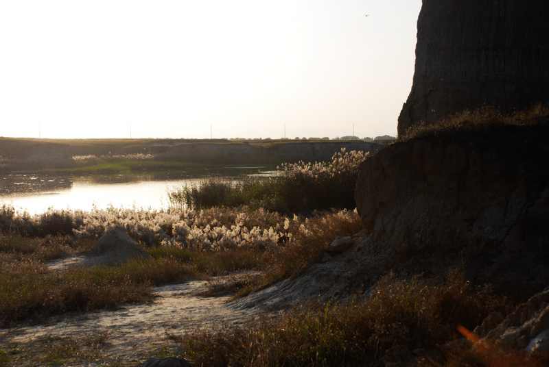 dsc_0842.jpg