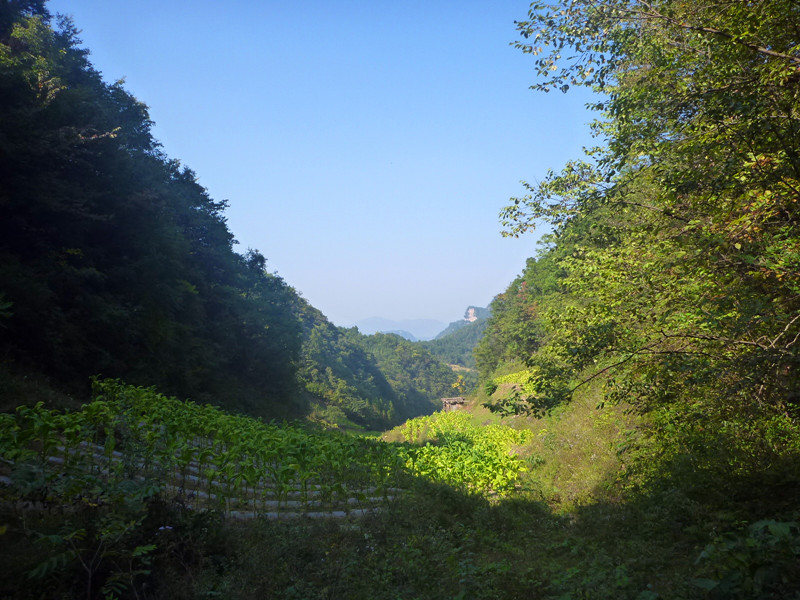 p1160946_副本.jpg