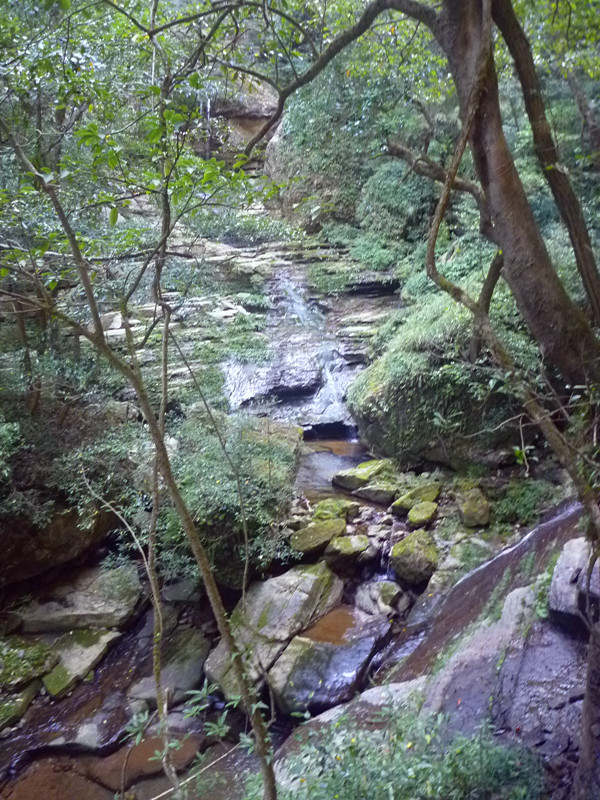 p1160917_副本.jpg