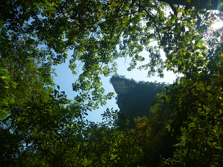 p1160926_副本.jpg