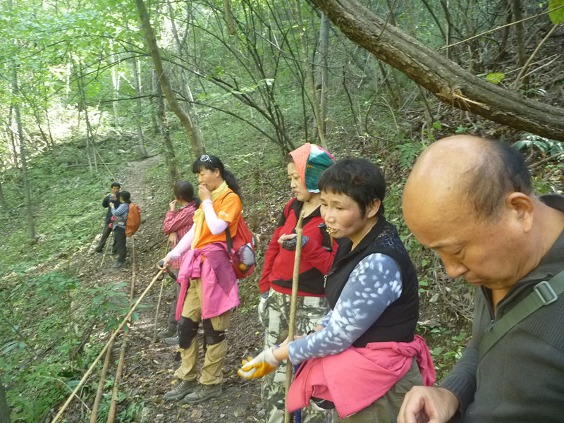 p1160930_副本.jpg