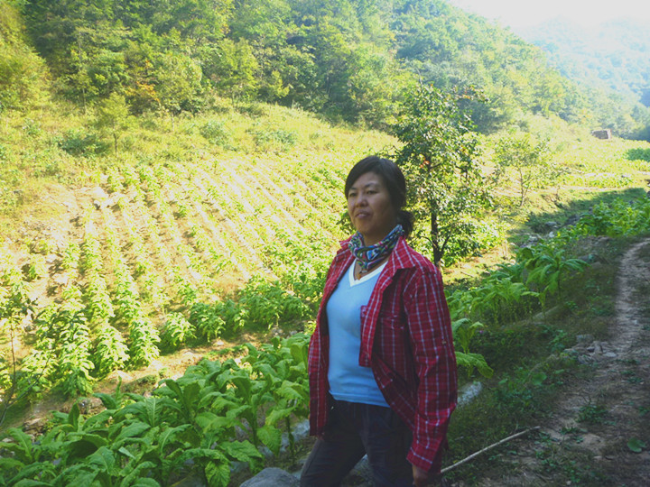 p1160950_副本.jpg