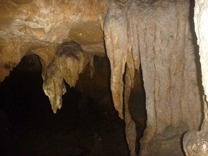 p1160970_.jpg