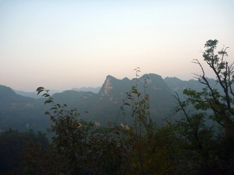 p1160985_.jpg