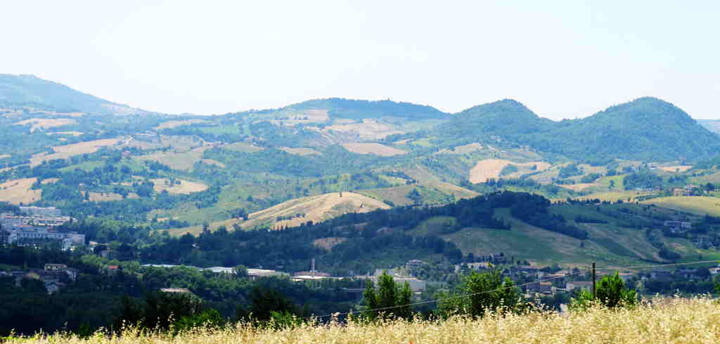 img_9054_.jpg