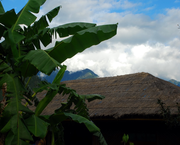 dsc_0433.jpg