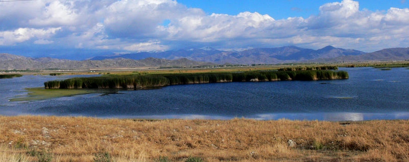 p1280427_Ӱ_1.jpg