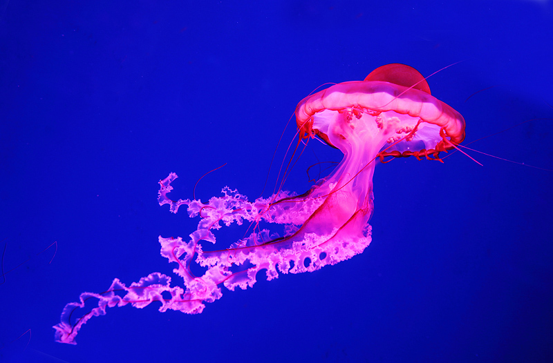 6u0b5815.jpg
