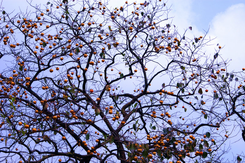 pict0018_.jpg