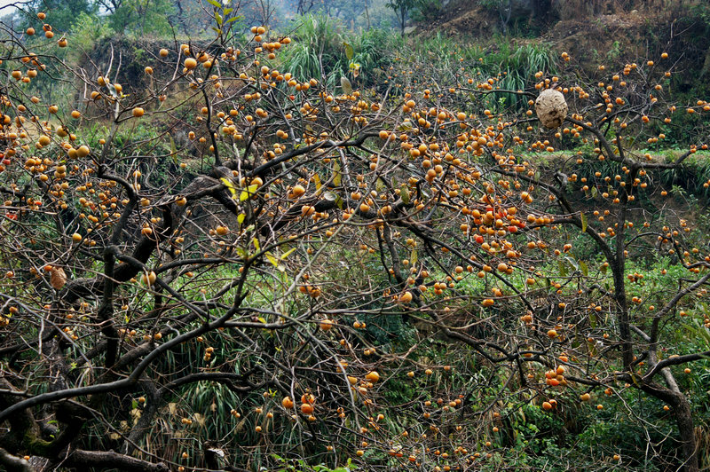pict0030_.jpg
