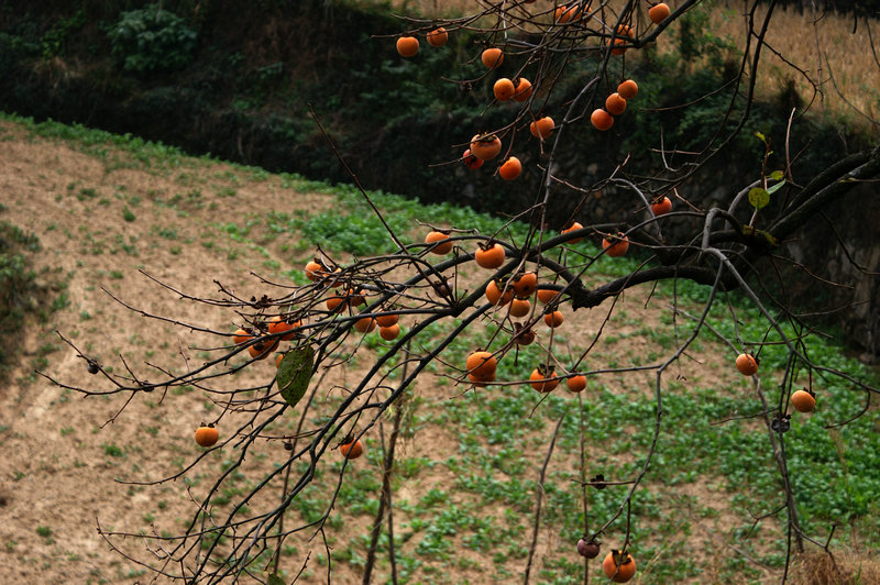 pict0037_.jpg