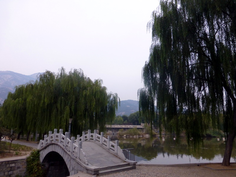 p1130433.jpg
