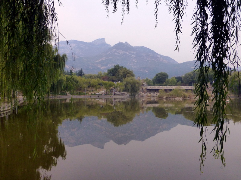 p1130435.jpg