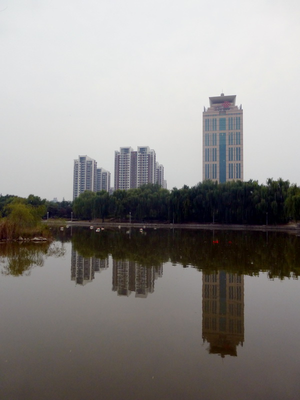 p1130438.jpg