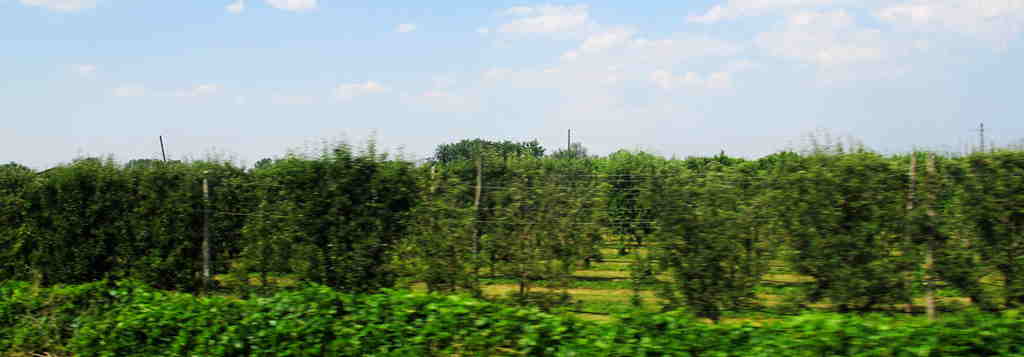 img_9177_.jpg