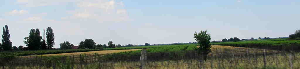 img_9174_.jpg