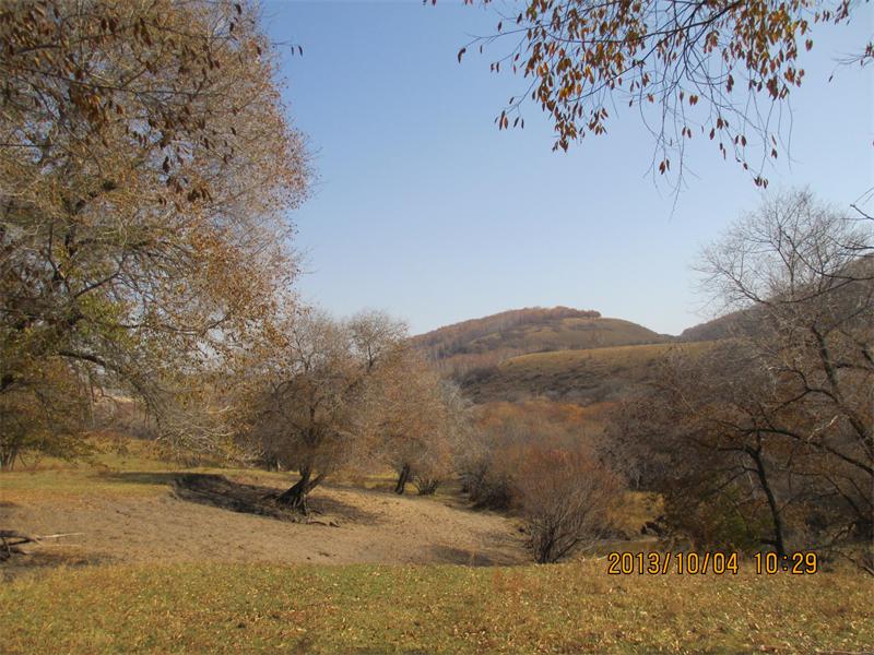 盘锦坝上 479.jpg