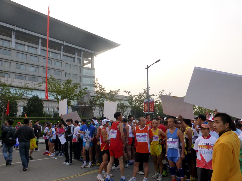 p1130478.jpg
