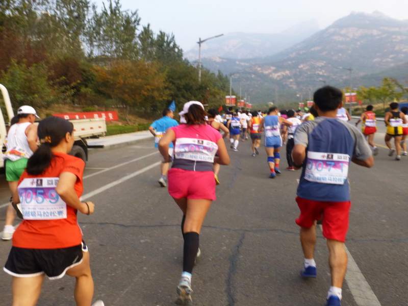 p1130495.jpg