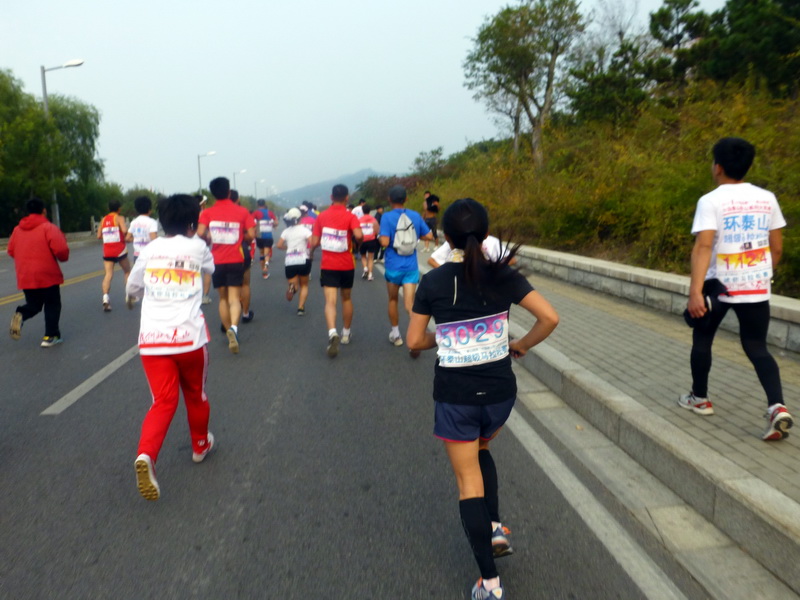 p1130498.jpg