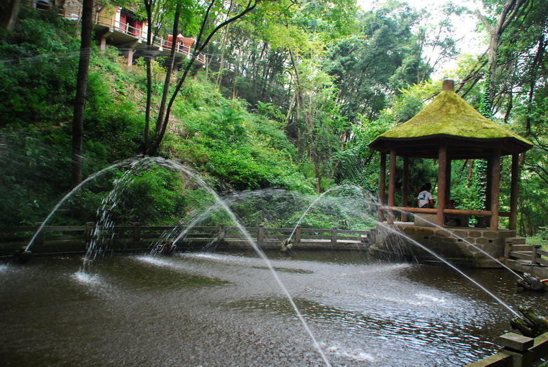 dsc_0814.jpg