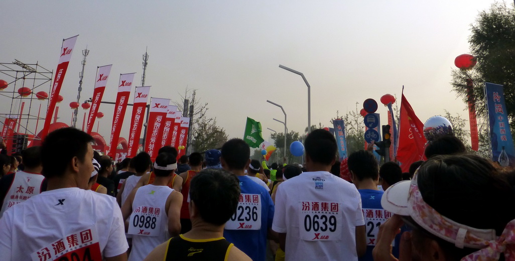 p1130094.jpg