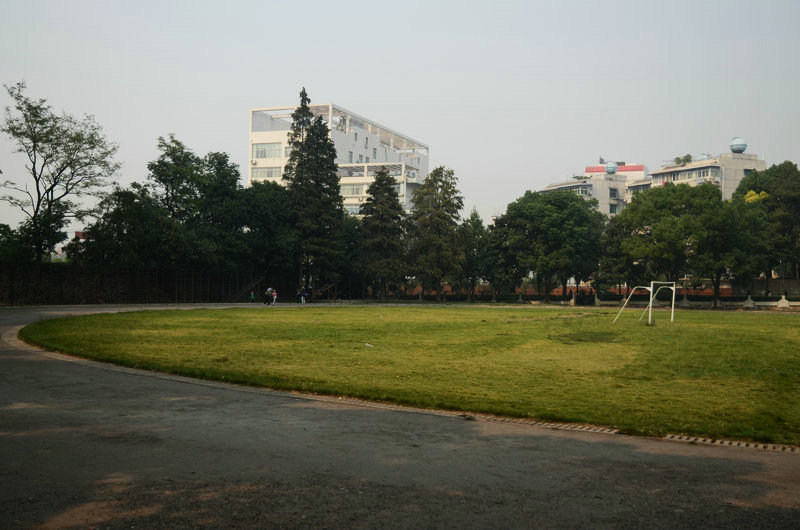 dsc_2028.jpg