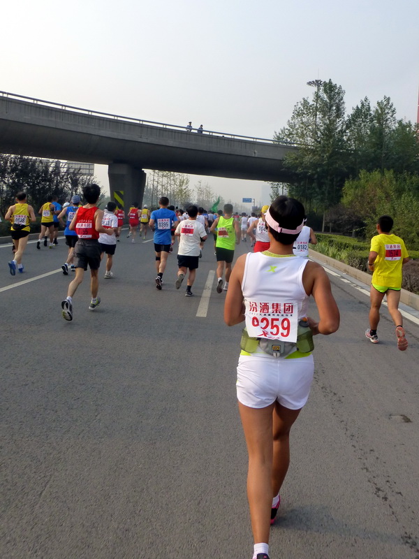 p1130104.jpg