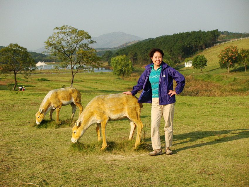 dsc01396_.jpg