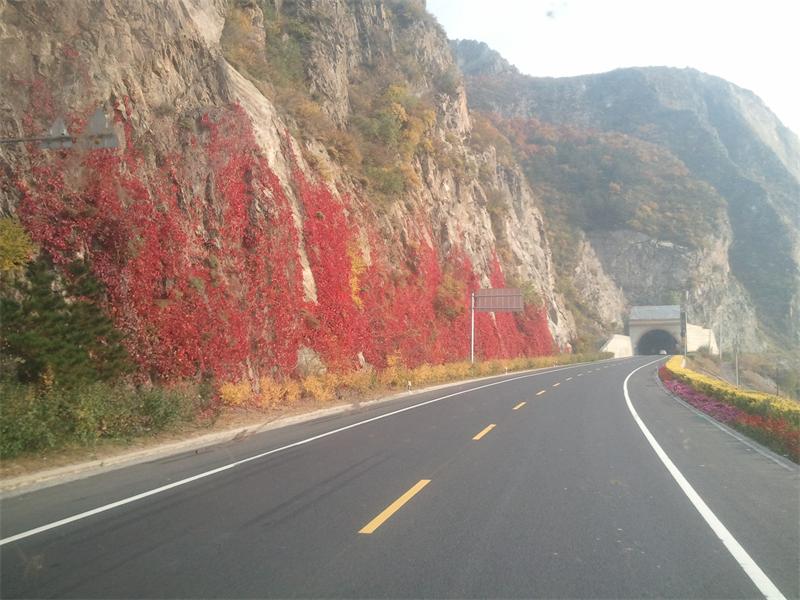 2013-10-04 15.30.55.jpg