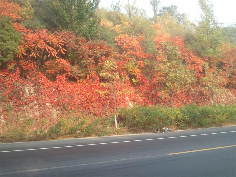 2013-10-04 15.33.17.jpg