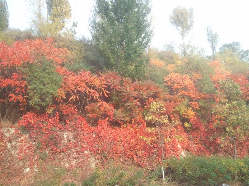 2013-10-04 15.33.39.jpg