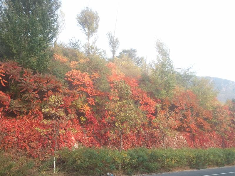2013-10-04 15.33.46.jpg