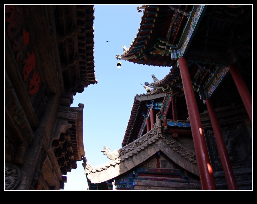 dsc09799_conew1.jpg