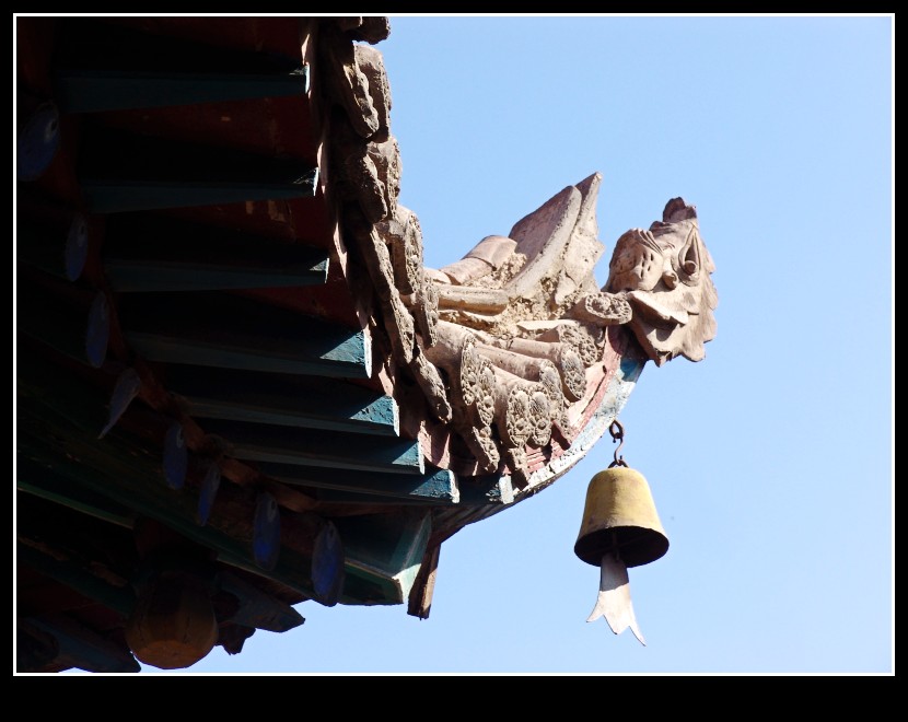 dsc09835_conew1.jpg