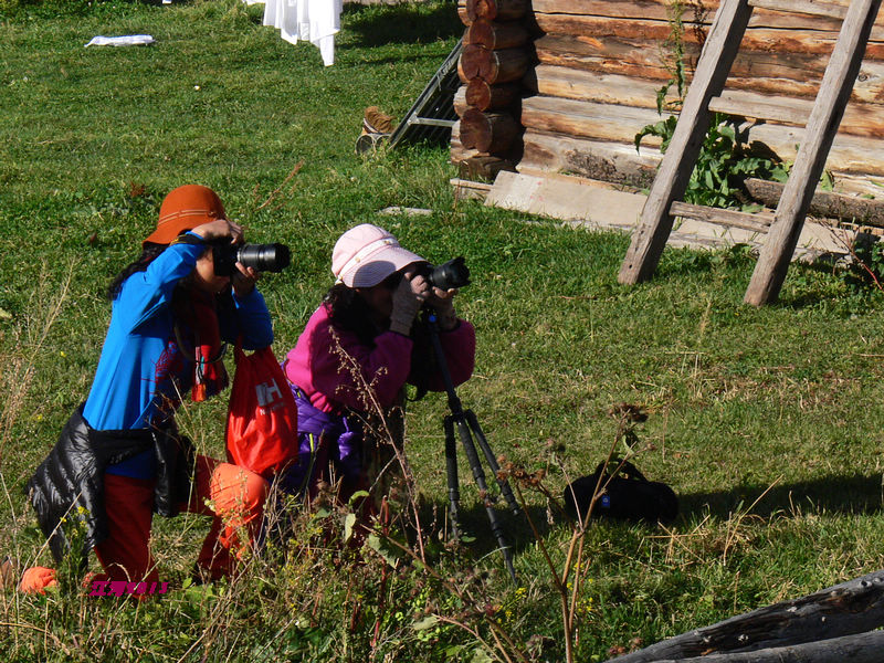 p1280593.jpg