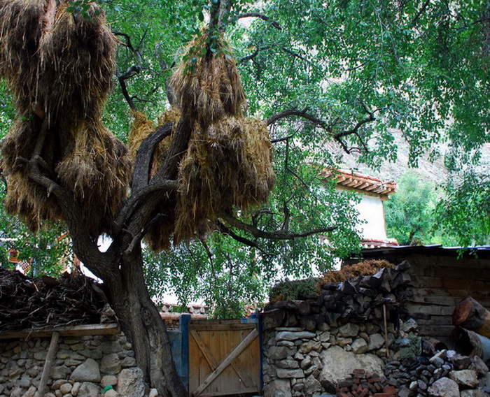 dsc_0535.jpg
