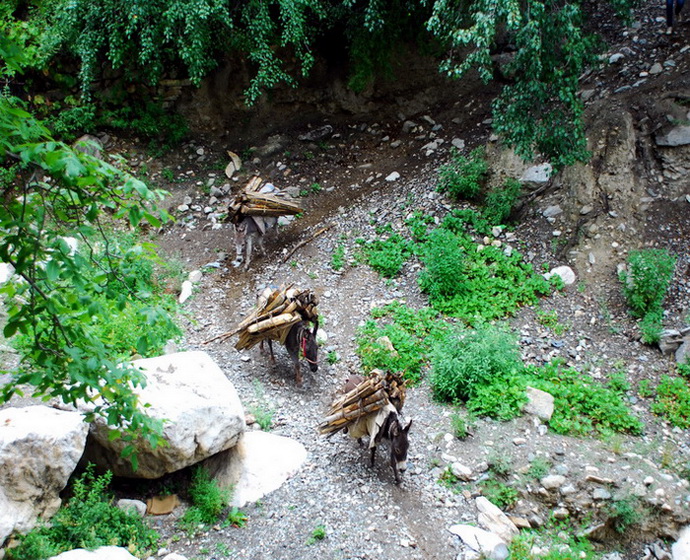dsc_0539.jpg