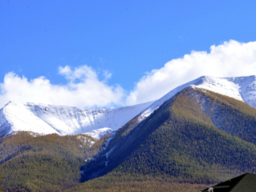 dsc_3184.jpg