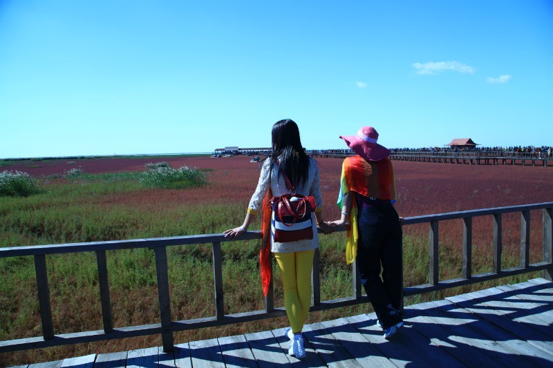 psbcau971mi.jpg